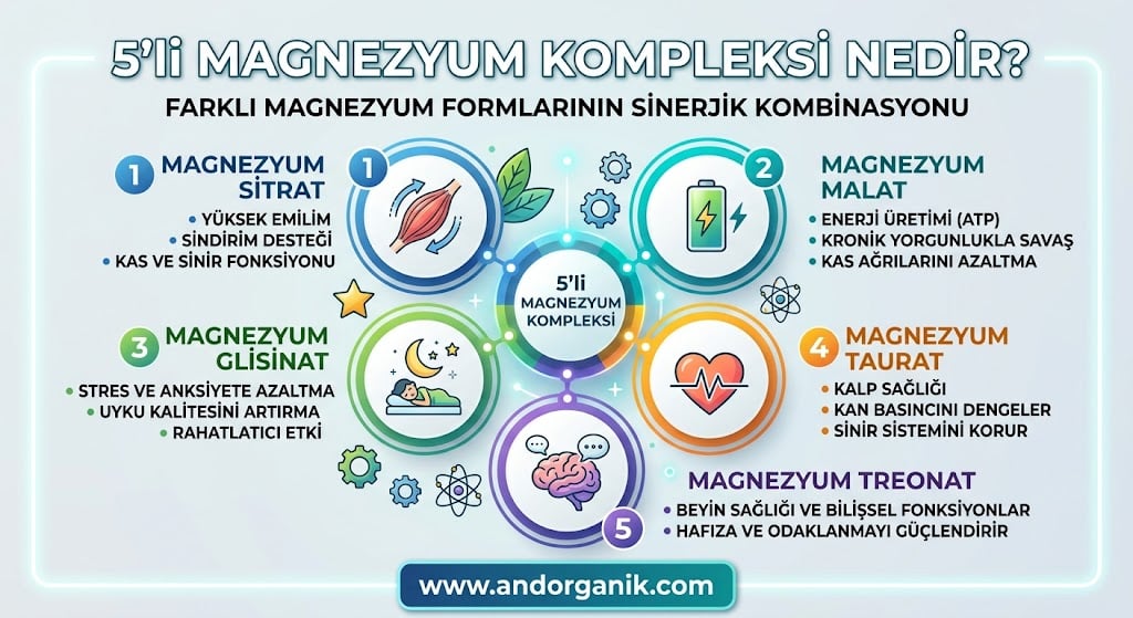 Beş farklı magnezyum formunu anlatan 5’li magnezyum kompleksi görsel