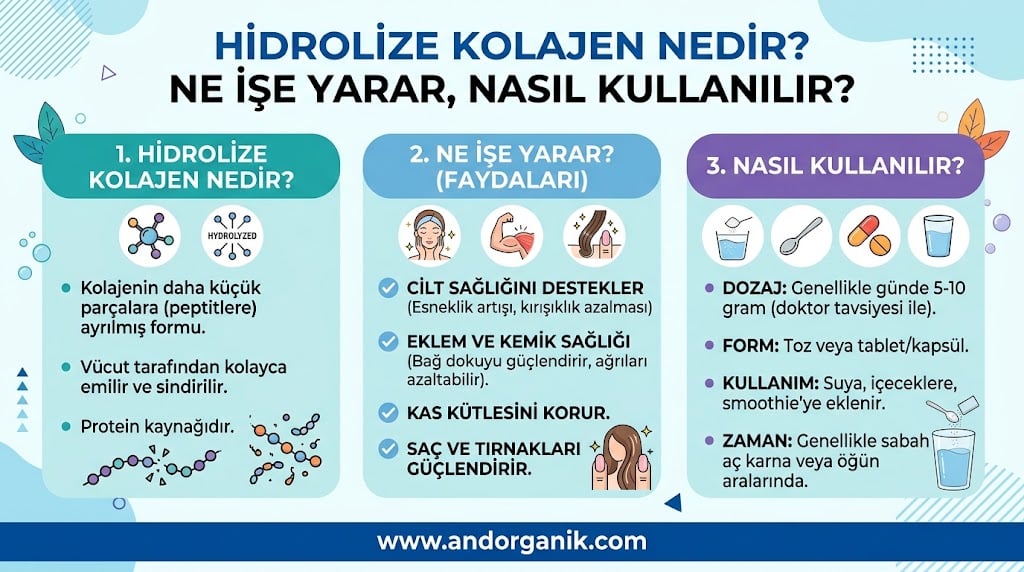 hidrolize kolajen nedir