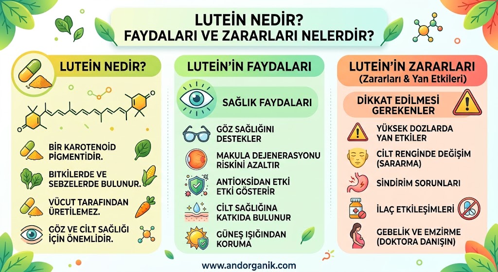 Lutein Nedir? Faydaları, Zararları