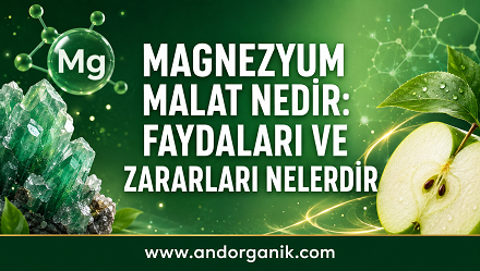 Magnezyum Malat Nedir: Faydaları ve Zararları Nelerdir?