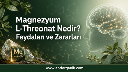 Magnezyum L-Threonat Nedir? Faydaları ve Zararları