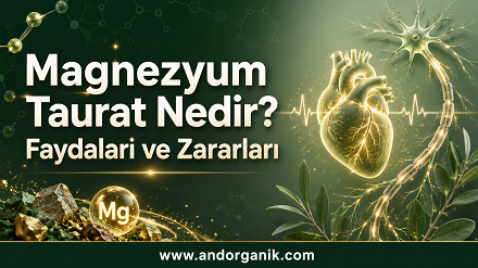 Magnezyum Taurat Nedir? Faydaları ve Zararları
