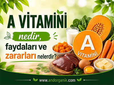 A Vitamini Nedir, Faydaları ve Zararları Nelerdir?