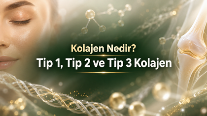 Kolajen Nedir? Tip 1, Tip 2 ve Tip 3 Kolajen