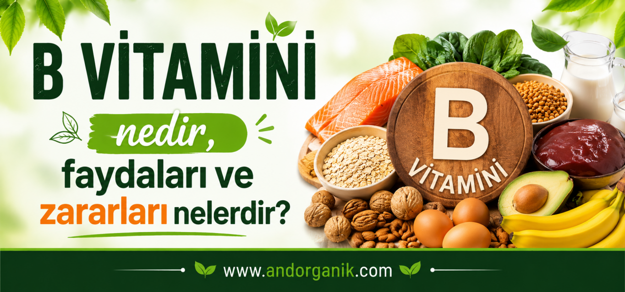 B Vitamini Nedir, Faydaları ve Zararları Nelerdir?