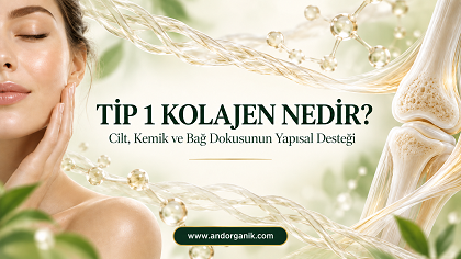 Tip 1 Kolajen Nedir? Faydaları, Kaynakları ve Kullanımı
