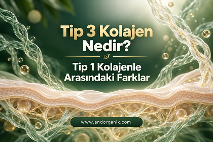 Tip 3 Kolajen Nedir? Tip 1 Kolajen ile Arasındaki Farklar