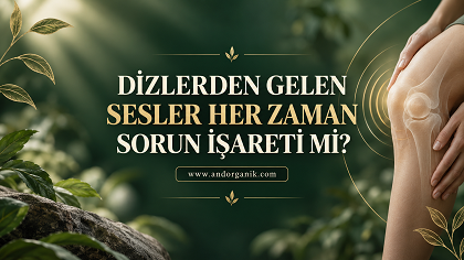 Dizlerden Gelen Sesler Her Zaman Sorun İşareti mi?