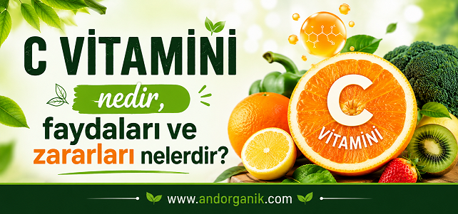 C Vitamini nedir, Faydaları ve Zararları Nelerdir?