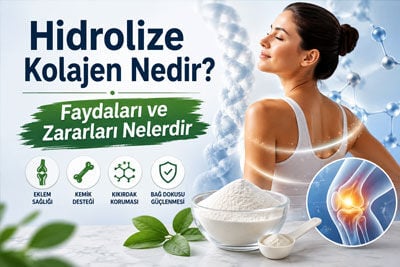 Hidrolize Kolajen Tip 2: Faydaları ve Zararları